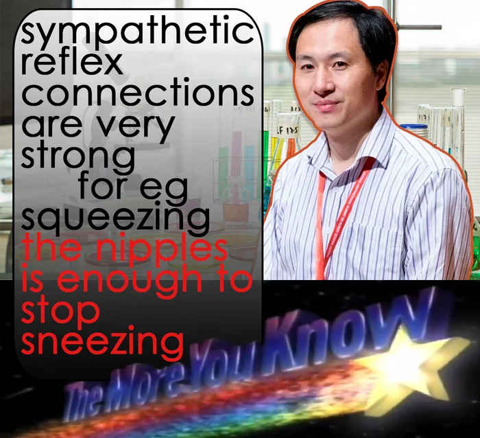 How to quickly stop sneezing - Erudition, Reflexes, The science, Physiology, Facts, Translation, Nauchpop, Life hack