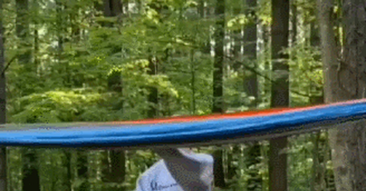 Hoba! - Hammock, Forest, GIF