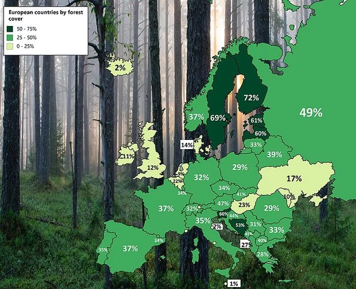 Европейские страны и процентное соотношение леса! - Европа, Страны, Инфографика, Лес, Проценты, Соотношение, Интересное, Карты