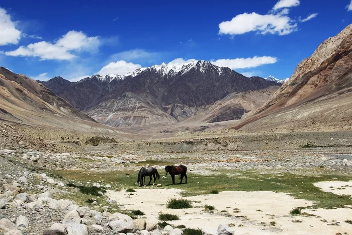 Pamir. Highland landscapes - My, Pamir, The mountains, Mountain river, Nature, Tajikistan, Longpost, beauty of nature