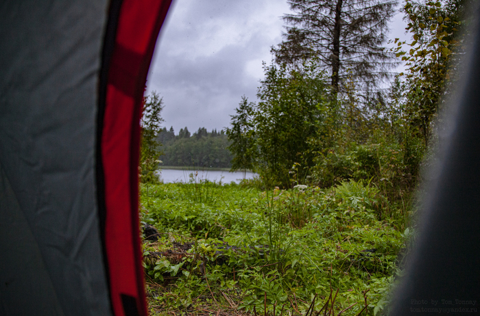 Ответ на пост «По-настоящему доброе утро»