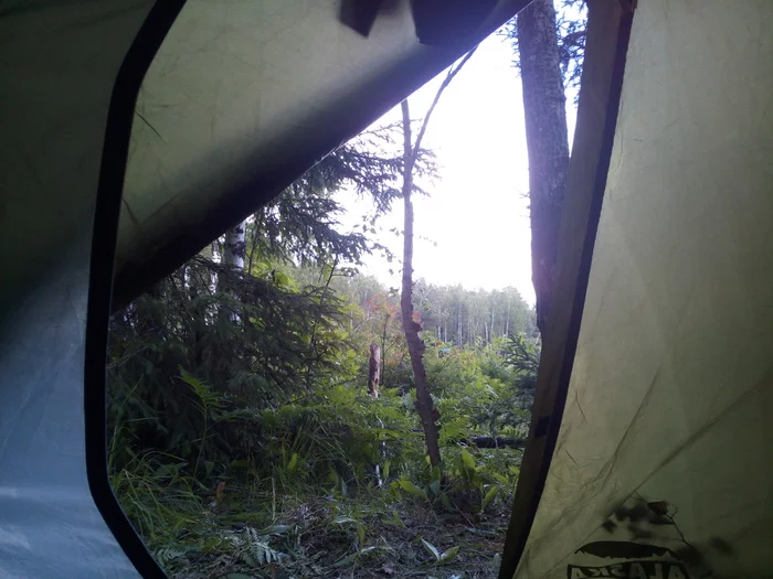 Response to the post Really Good Morning - My, Mari El, River, Morning, Hike, Buckwheat, Tent, Reply to post, Longpost