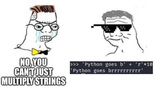 -Нет, ты не можешь просто умножать строки! -Python goes brrrrrrrrrr! - Программирование, Программист, Python, Strings, Строки, Умножение, IT юмор, Wojak