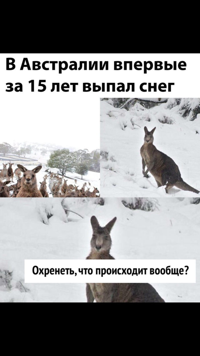 ������ �� ������ ������������ ???