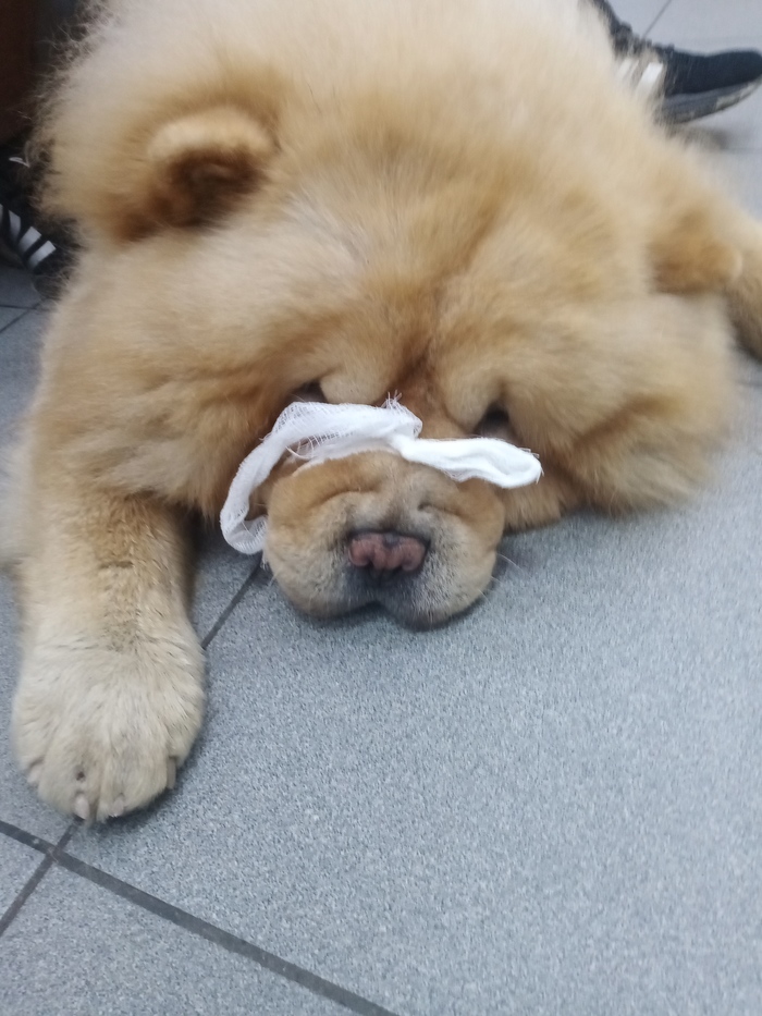     , , , 