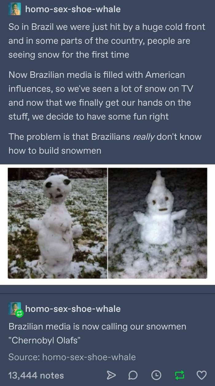 Olaf from Chernobyl, Karl! - Brazil, Snow, snowman, Humor, Translated by myself, Longpost, Snowfall, Ignorance, Imitation, Olaf, Chernobyl