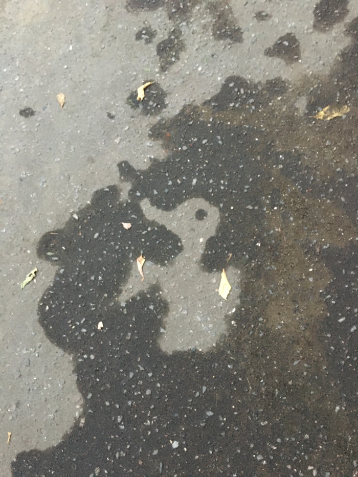 ������ �������