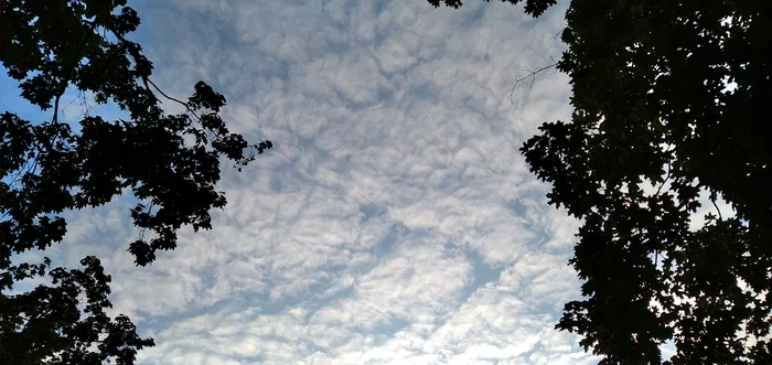 Random beauty - The photo, Sky, beauty, My
