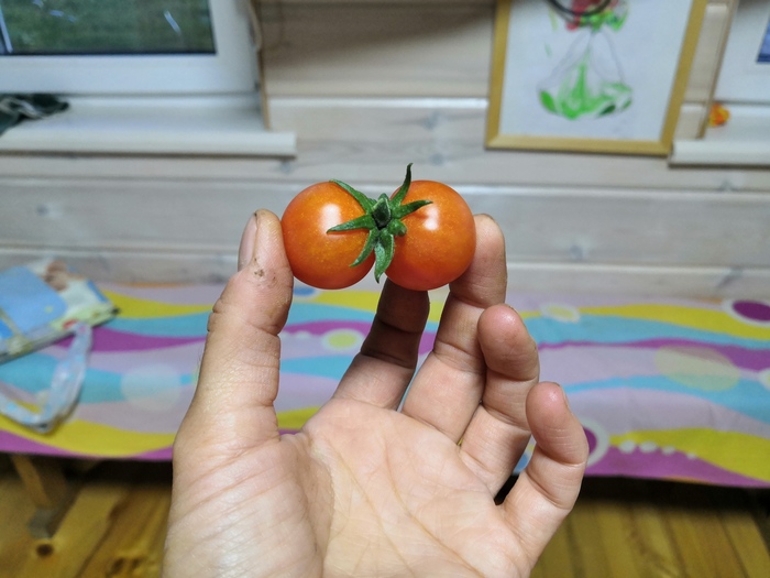   ,  ,  , 