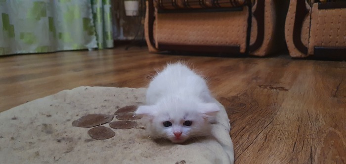 ������ ������ �����