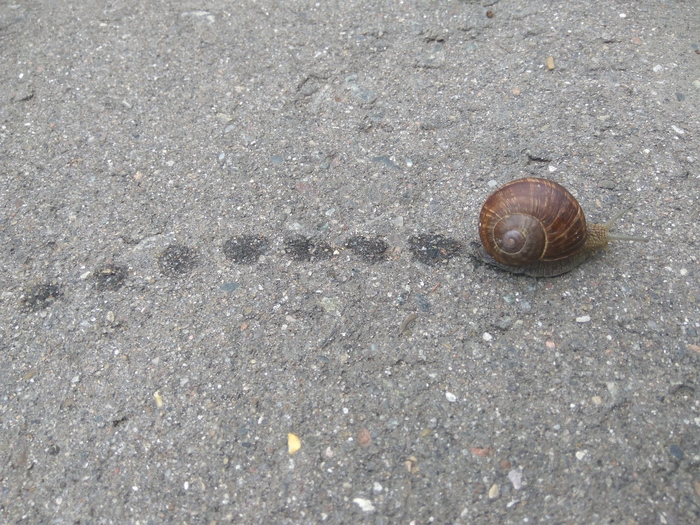 ���� - ���� - ����