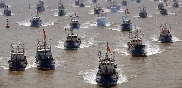 How China's fishing fleet is destroying the world's oceans - China, Nature, Longpost