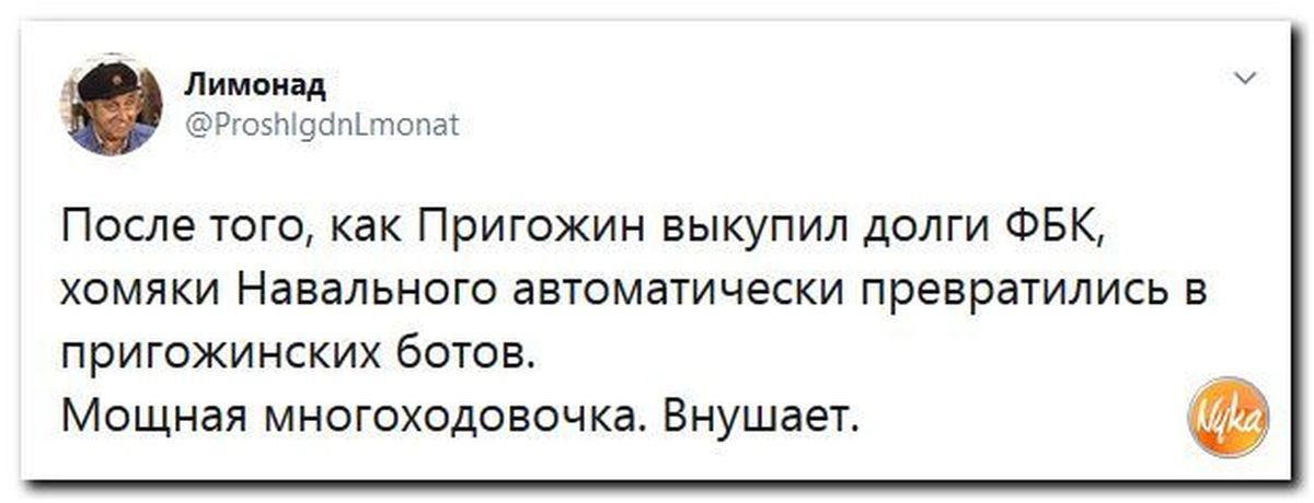 Навальный документ об отравлении. Навальный pikabu кот.