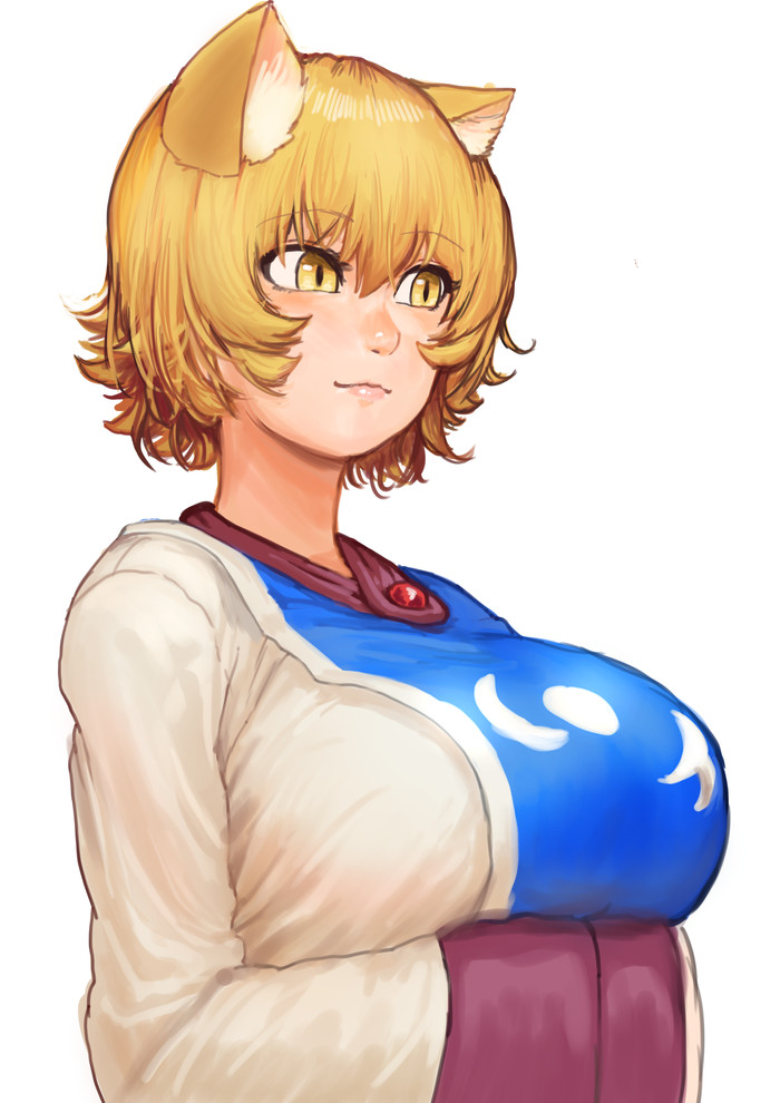  , Anime Art, Touhou, Yakumo Ran, Chanta, 