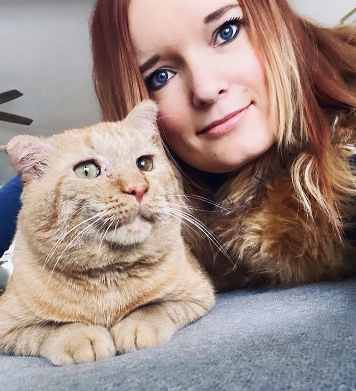 The story of Mister Willis - the most unfortunate cat who became happy - cat, Redheads, The rescue, Luck, Vertical video, Video, Longpost