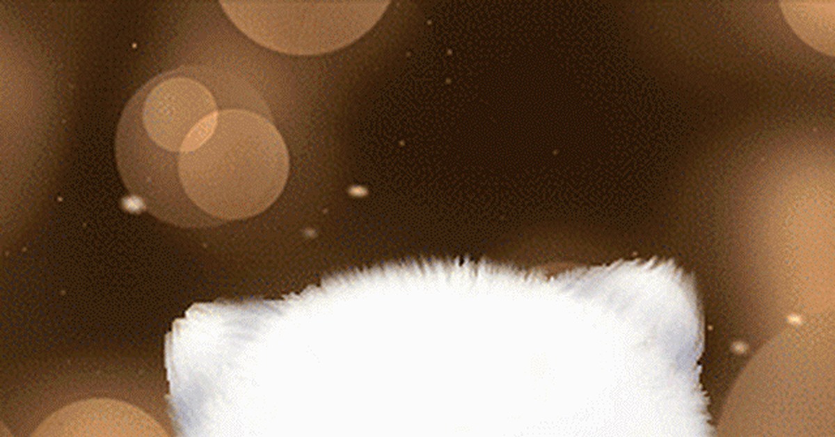 Hello - GIF, Greetings, cat, Longpost