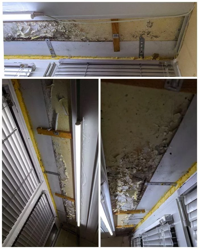 How I lightly insulated a 4 m2 loggia in a panel. Photo\Video and need help from experts - My, Building, Repair, Loggia, Balcony, Design, Help, cat, Turtle, Warming, Design, Collective farm, My house, Video, Longpost
