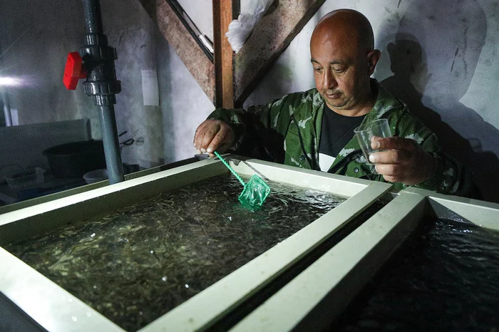 Water depletion and oxygen for trout: how one farm plans to supply the whole of Tatarstan with fish - My, Tatarstan, Entrepreneurship, Business, A fish, Longpost