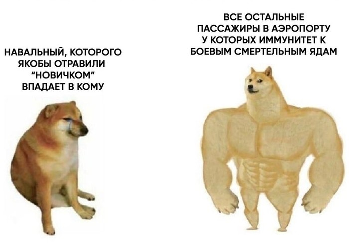 +15 rubles for me - Politics, Humor, Alexey Navalny, Poisoning, Memes, Doge