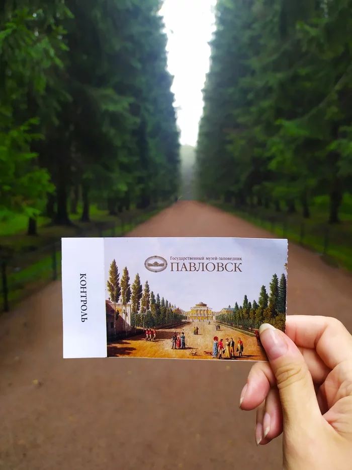 Sunday walks. Pavlovsk - Saint Petersburg, Mobile photography, Longpost, Pavlovsk, Reserves and sanctuaries, Nature, Within Pushkin