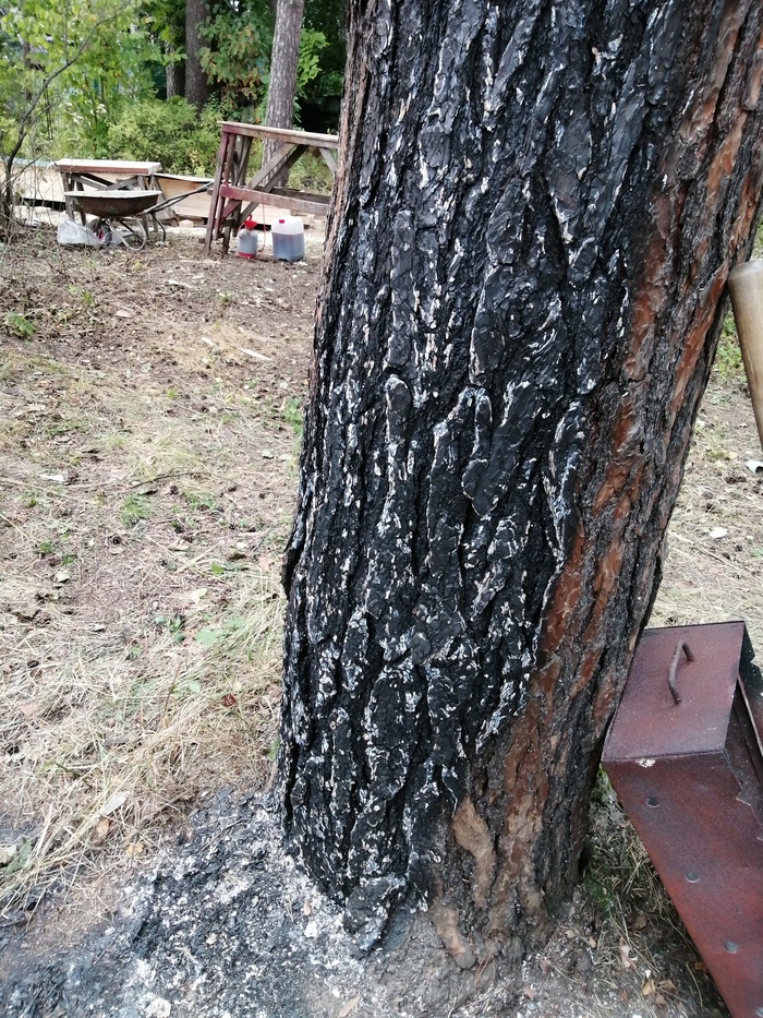 ����� ���������� �� ������