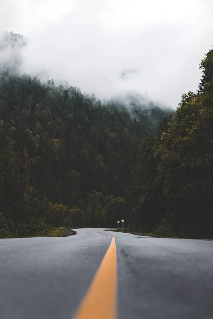 Lonely road - My, Road, Fog, Forest