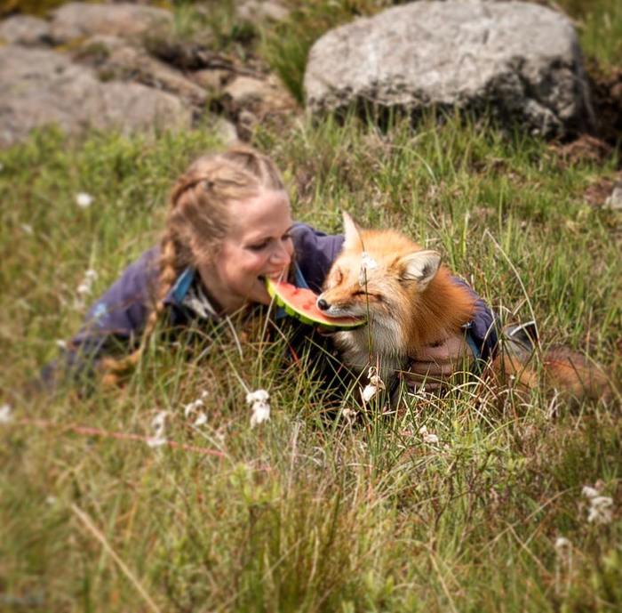 ���� �� �����