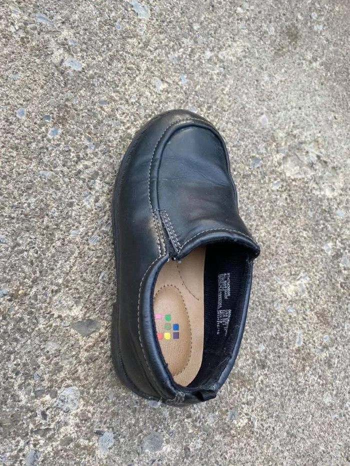 Êîò-ðåöèäèâèñò Êîò, Âîðîâñòâî, Äëèííîïîñò