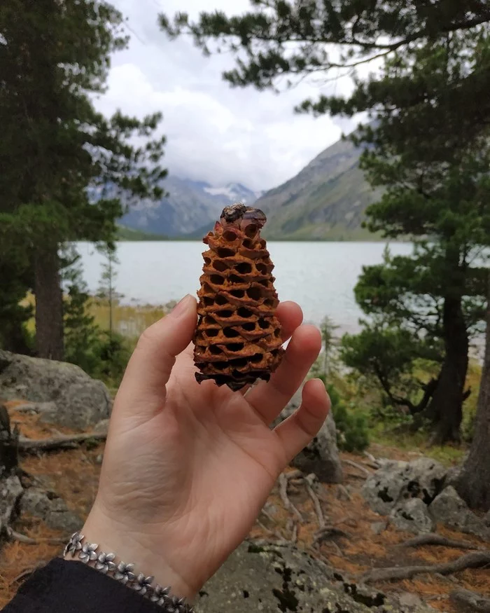 Washing dishes on the go - My, Altai Republic, Mountain Altai, Mountain tourism, Tourism, Hike, Cones