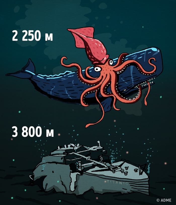 Какое давление возникает на глубине 30 метров под водой