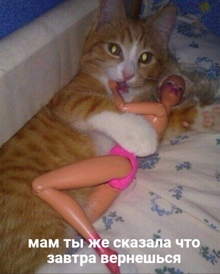 ���, �� �� �������, ��� ������ ���������