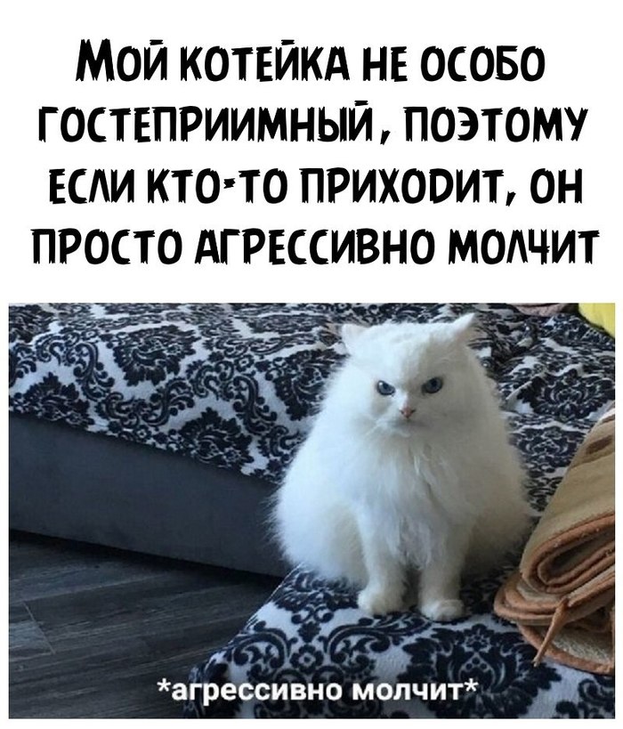 159971441511262206.jpg