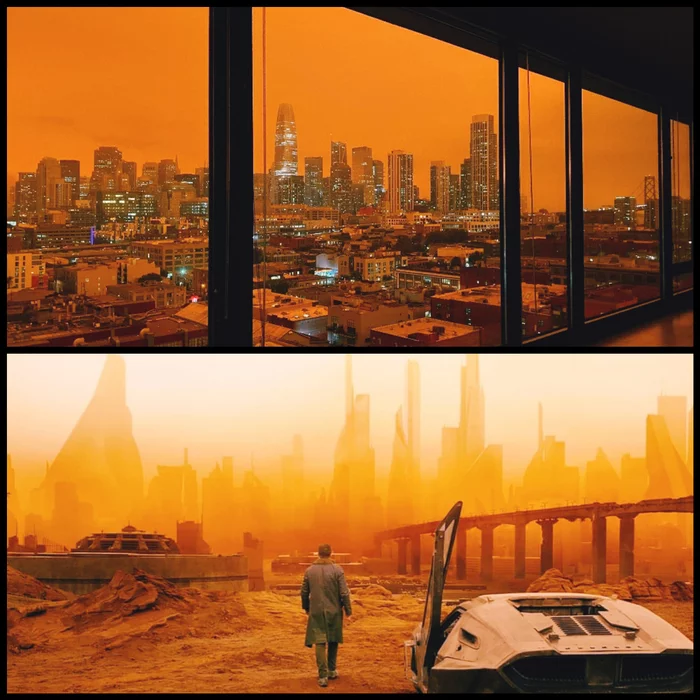 San Francisco these days looks exactly like the city from Blade Runner 2049 - The photo, USA, San Francisco, Landscape, Movies, Blade Runner 2049, Similarity, Fire, , Sky, Forest fires