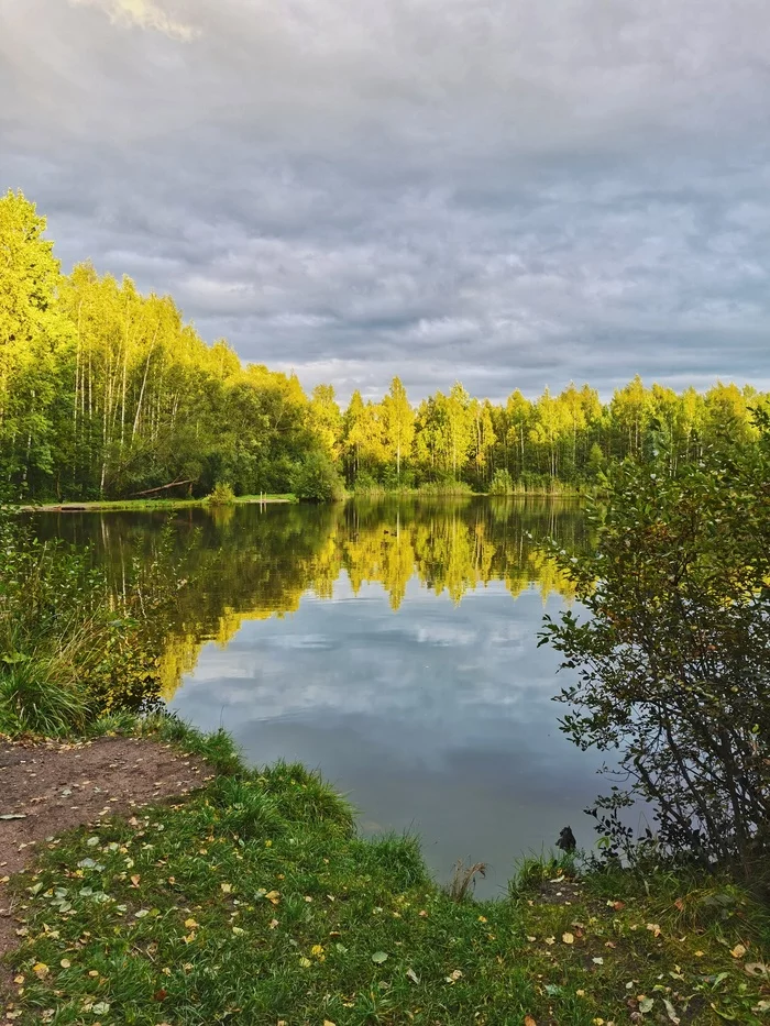 golden sunset - My, Mobile photography, Autumn, Sosnovka Park, Longpost