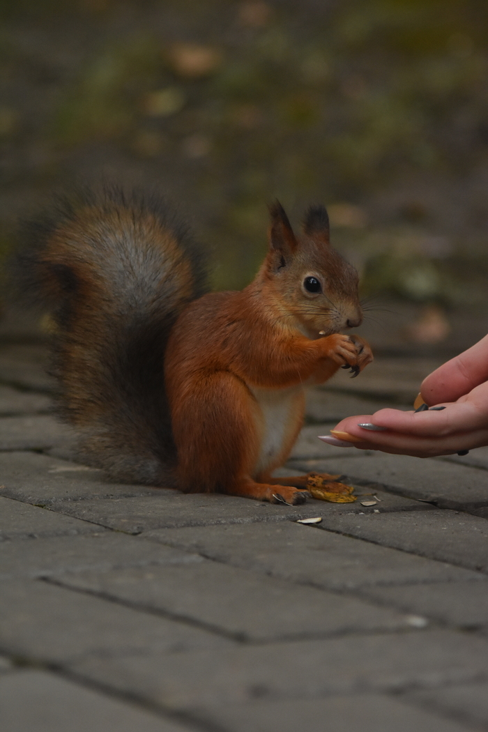      , Nikon d3400, ,  , , , , 