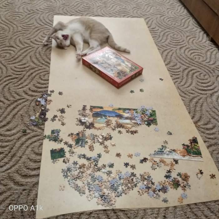 Cats and puzzles - cat, Puzzle, Humor, Pests, Longpost