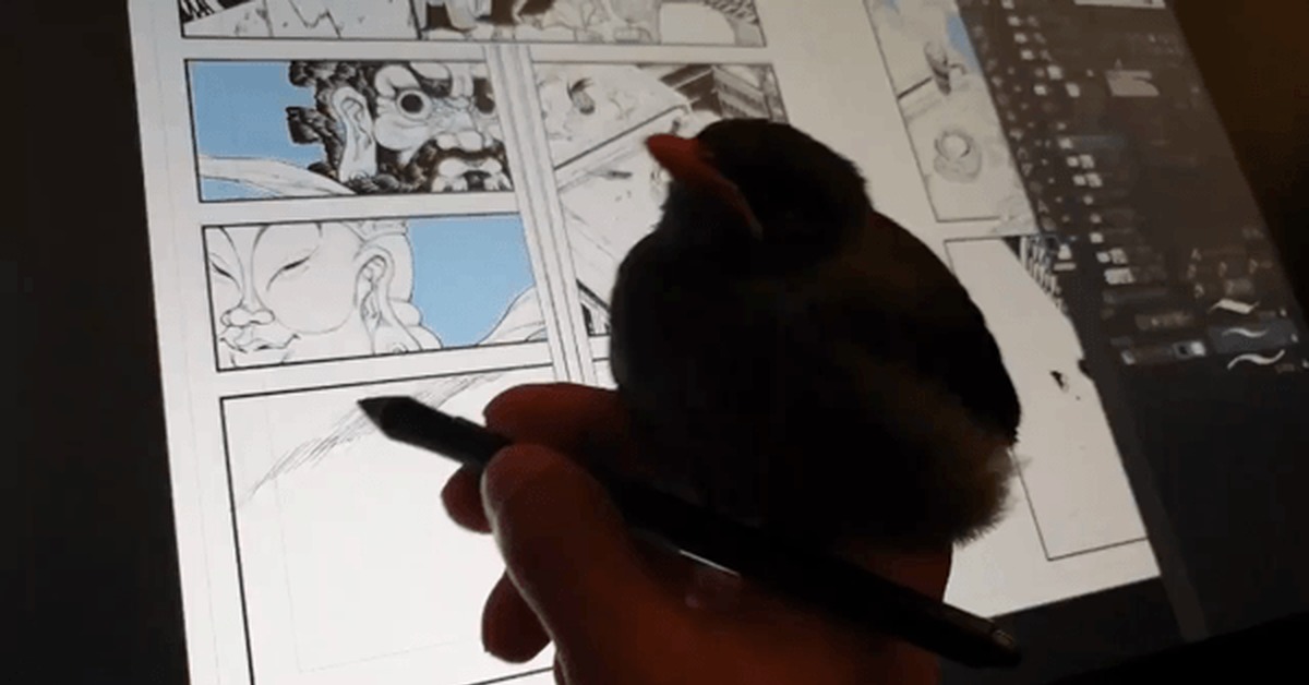 *Cool drawing - Painting, Tablet, Birds, GIF