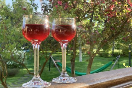 Homemade cranberry liqueur - My, Tincture, Cranberry, Beverages, Recipe, Food, Cooking, Kitchen, Longpost