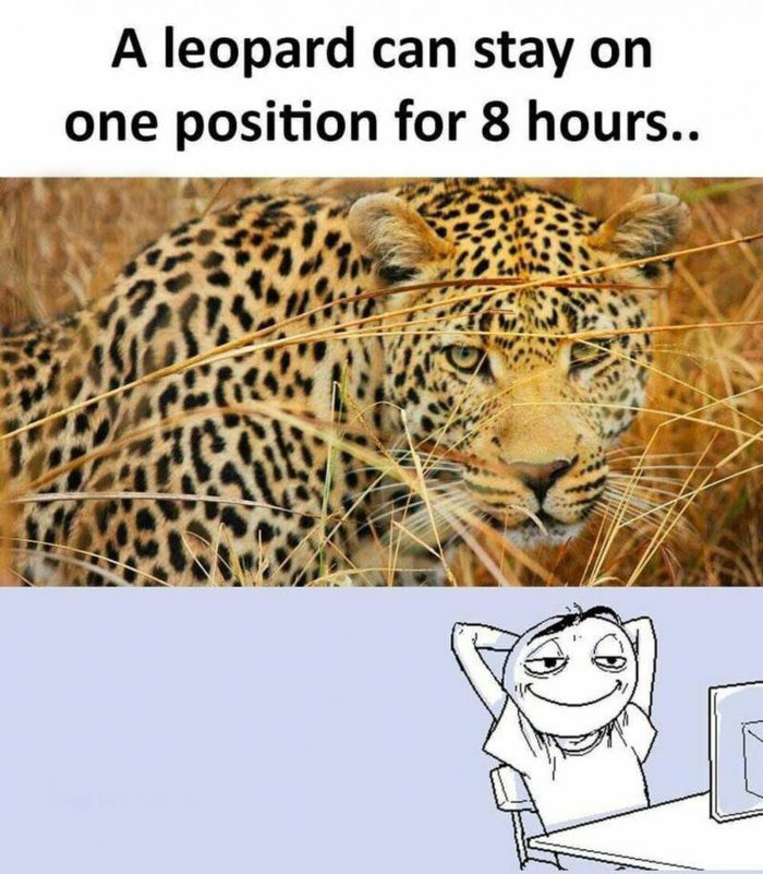 , ! , , , , , 