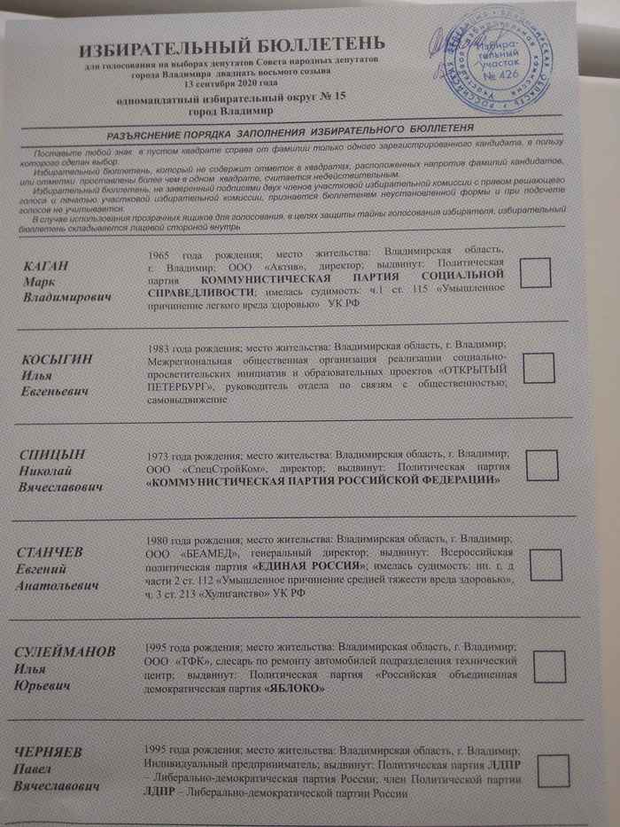 Выборы, выборы!Кандидаты ... все как на подбор - Политика, Выборы, Кандидаты, Бюллетень, Длиннопост