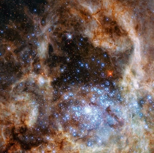 Star cluster R136 - Astronomy, The science, Space, Hubble telescope, Star Cluster, Astrophysics, Planets and stars