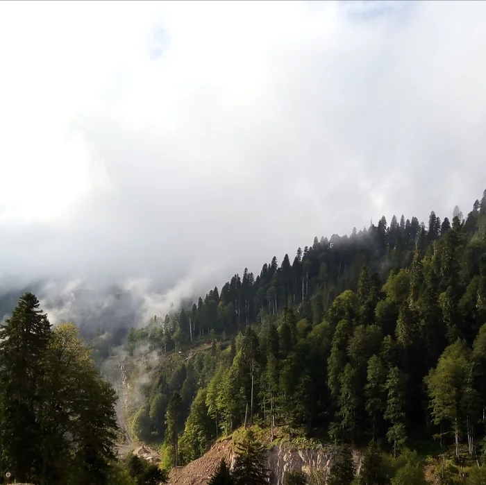 Rose Peak. 2320m - My, Nature, Forest, The mountains, Russia, The photo