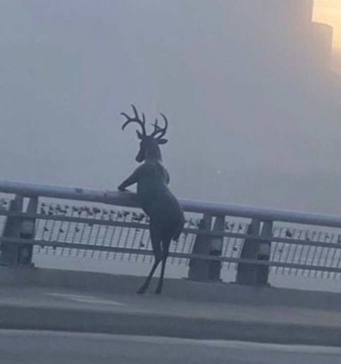 ��-�����, � ������ ������������ �����