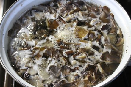 Маринованные опята бабушкин рецепт. 1600154962127983229. Маринованные опята бабушкин рецепт фото. Маринованные опята бабушкин рецепт-1600154962127983229. картинка Маринованные опята бабушкин рецепт. картинка 1600154962127983229. Мы все очень любим жареную картошку с грибами, жаренные и маринованные дары леса. Их можно сушить и замораживать, подходят для приготовления супов и различных салатов, незаменимы в постные дни (для тех, кто соблюдает пост). В статье я собрала для вас проверенные рецепты. Если вы грибник, и любите не только собирать, но и готовить, можно запастись ими на зиму.