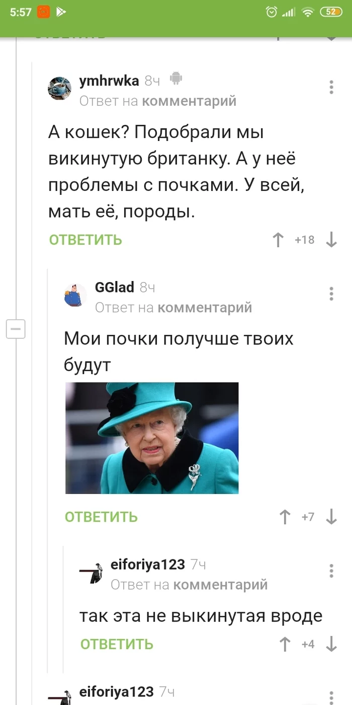 British is different from British - cat, Great Britain