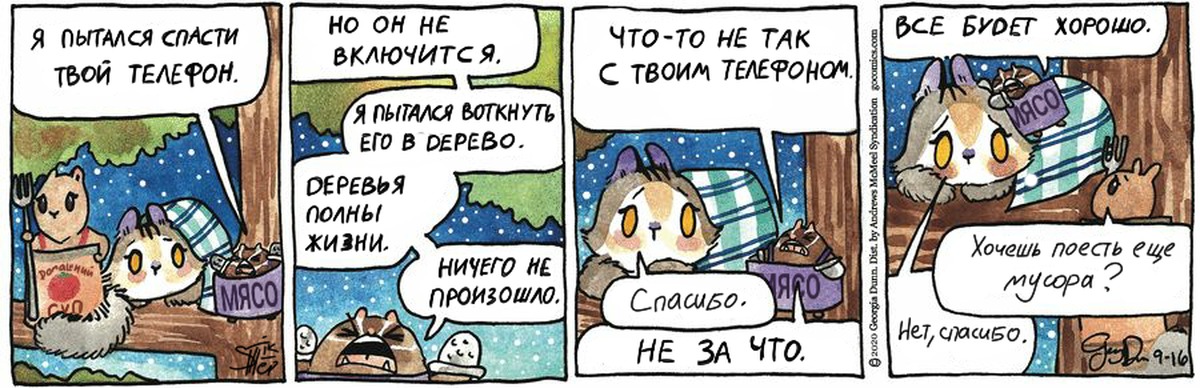 Cartoon cat перевод