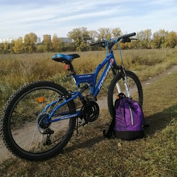 Two shiny wheels are rushing towards the sun into the sky, And the parapet flashes - my bicycle is coming! - My, Walk, Tatyshev Island, Krasnoyarsk, Bike ride, Autumn, Longpost