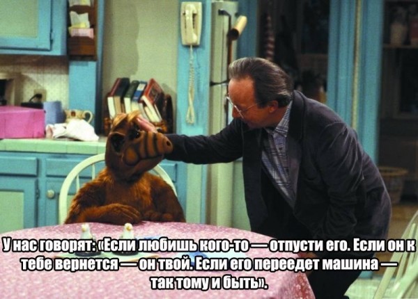 Alf: If you need me, I'll be by the refrigerator - Alf, Picture with text, Quotes, Longpost, Storyboard