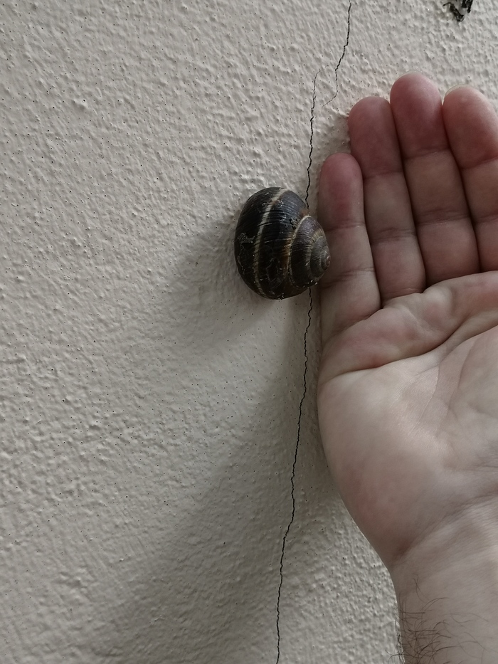 Первое путешествие в Пятигорск Пятигорск, Кавказские Минеральные Воды, Видео, Длиннопост