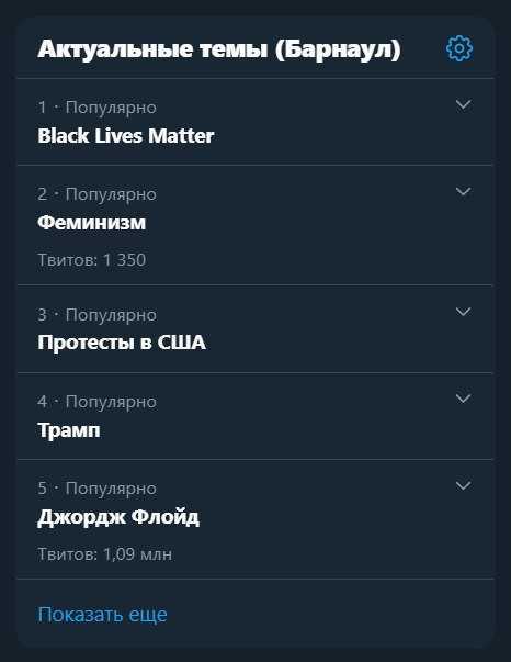 Америка - филиал Барнаула в западном полушарии - Скриншот, Twitter, Барнаул, Black lives matter, Феминизм, Юмор